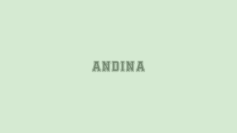 Andina